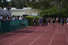 Enlarge photo 504