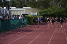 Enlarge photo 505