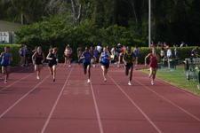 Enlarge photo 508