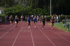 Enlarge photo 510