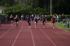 Enlarge photo 511