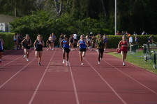 Enlarge photo 513
