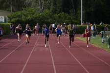 Enlarge photo 515