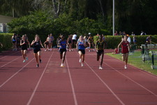 Enlarge photo 516