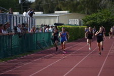 Enlarge photo 521