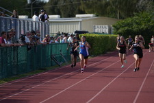 Enlarge photo 523