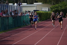 Enlarge photo 527