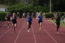Enlarge photo 528