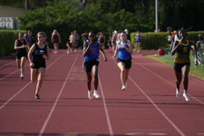 Enlarge photo 529
