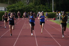 Enlarge photo 533