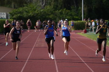 Enlarge photo 535