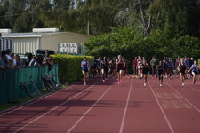 Enlarge photo 537