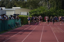 Enlarge photo 539