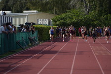 Enlarge photo 540