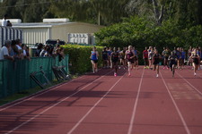 Enlarge photo 541