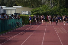 Enlarge photo 543