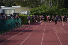 Enlarge photo 544
