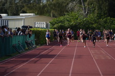 Enlarge photo 546