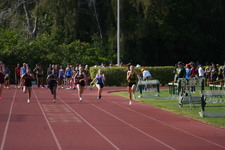 Enlarge photo 547