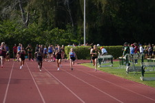 Enlarge photo 549