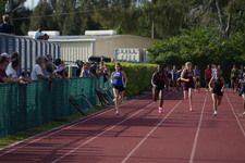 Enlarge photo 557