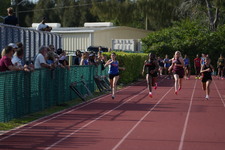 Enlarge photo 560