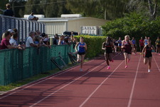 Enlarge photo 559