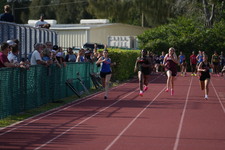 Enlarge photo 564