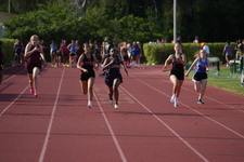 Enlarge photo 571