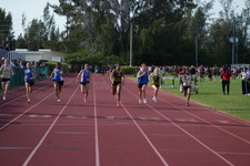 Enlarge photo 654