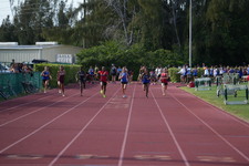 Enlarge photo 668