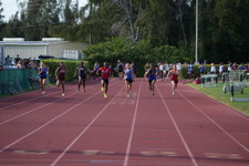 Enlarge photo 677
