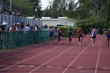 Enlarge photo 683