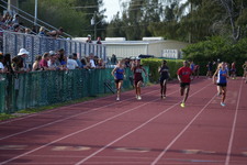 Enlarge photo 687