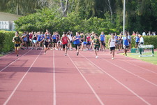 Enlarge photo 739