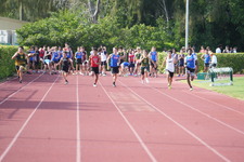 Enlarge photo 741