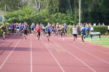Enlarge photo 746