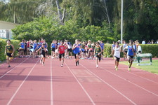 Enlarge photo 749