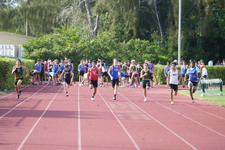 Enlarge photo 748
