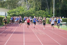 Enlarge photo 751