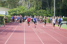 Enlarge photo 752