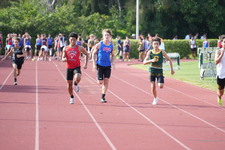 Enlarge photo 772