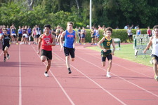 Enlarge photo 773
