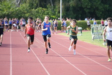 Enlarge photo 774