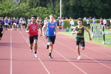 Enlarge photo 781