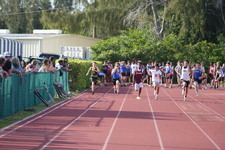 Enlarge photo 789