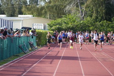 Enlarge photo 791