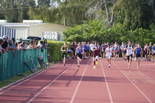 Enlarge photo 792