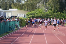 Enlarge photo 793