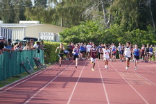 Enlarge photo 795